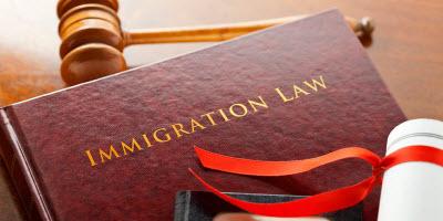 Immigration Law